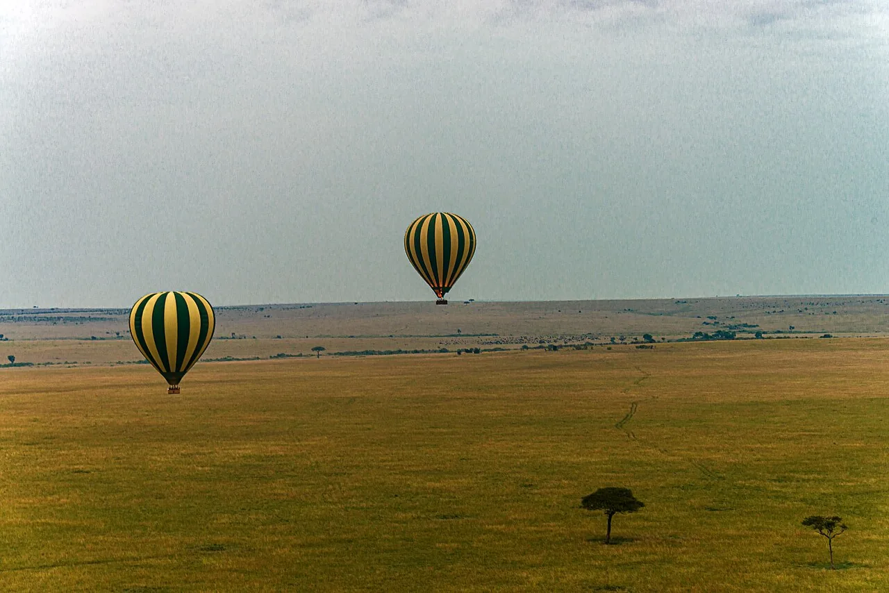 Hot-air balloons over the Maasai Mara, Kenya.