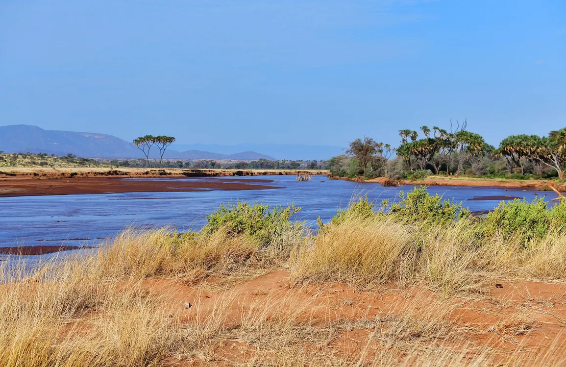 Landscape in Samburu National Reserve, Kenya.
