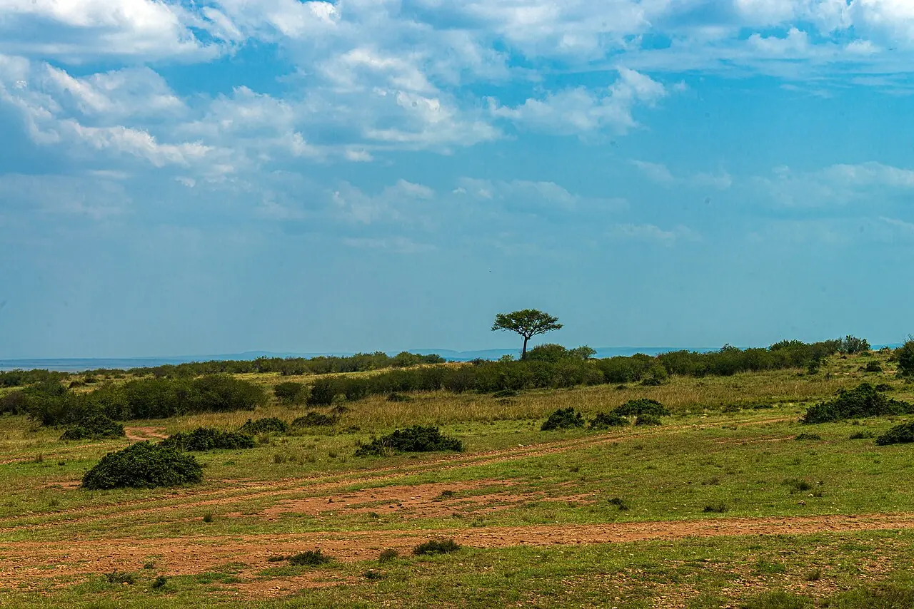 Open landscape in the northern Maasai Mara, Kenya.