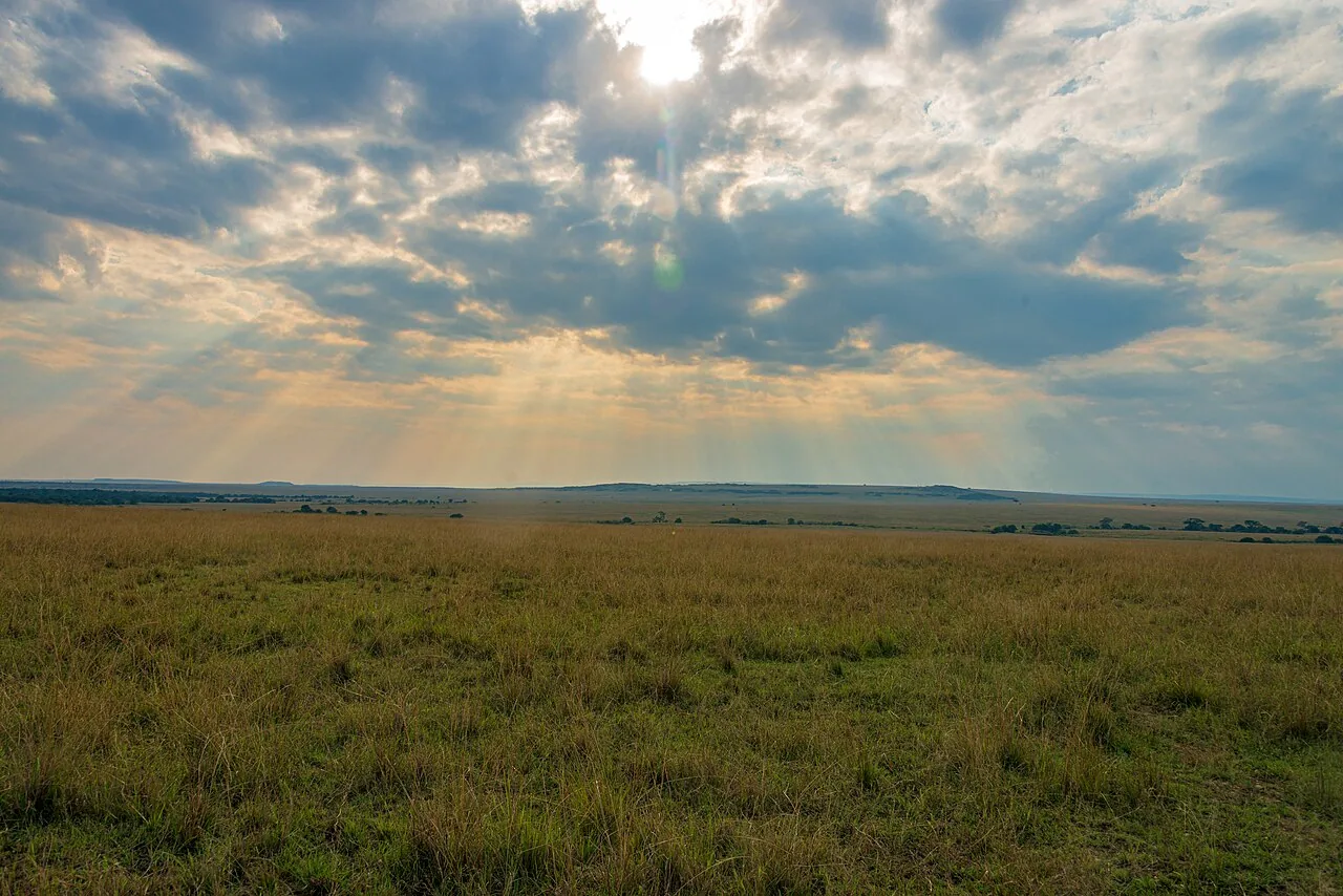 Clouds and sunbeams over the Maasai Mara landscape, Kenya.