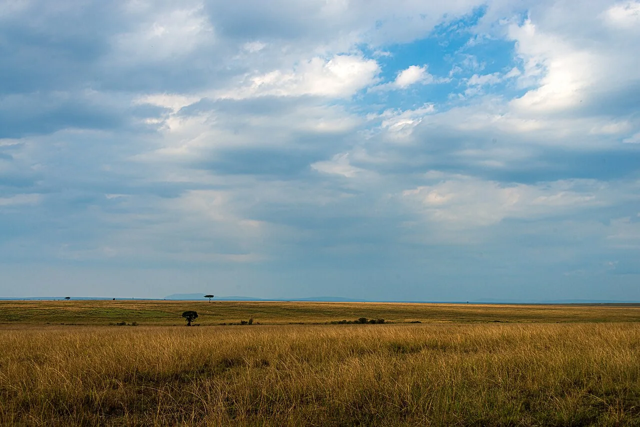 Open savanna in the Maasai Mara, Kenya.