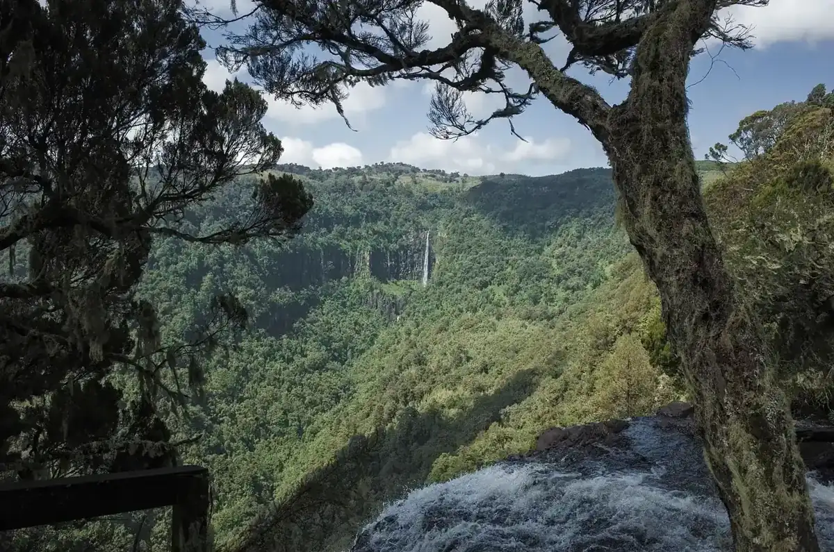 Gura Falls across a forested valley in Aberdare National Park, viewed from Karuru Falls.
