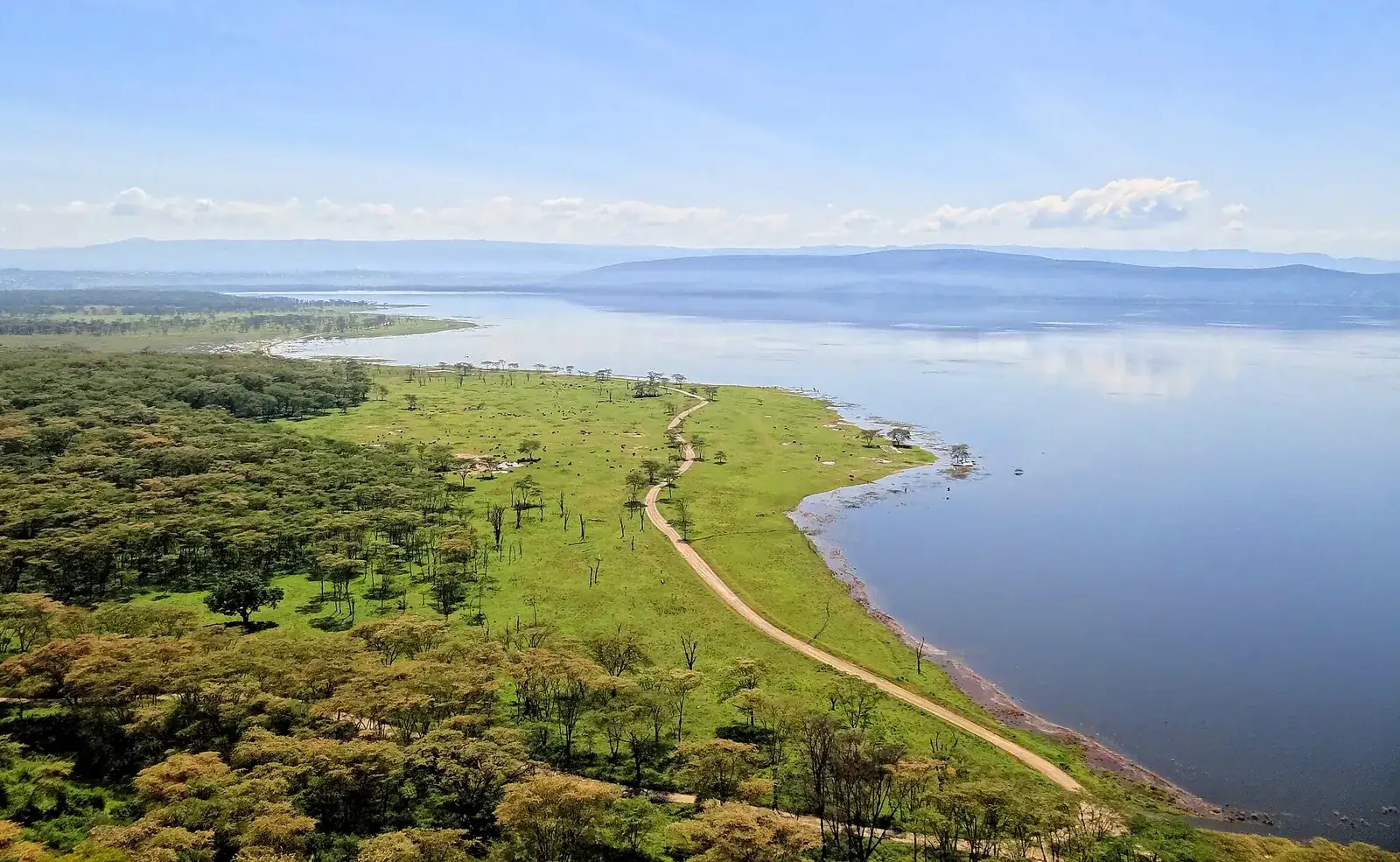 Lake Nakuru and the surrounding park seen from Baboon Cliff.